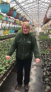 And we’re open for the 2019 season!! Here’s Mary, the lady who started it all, welcoming you all to our 25th year in business. Thank you!! We will see you all soon! | Lester's Farm Market