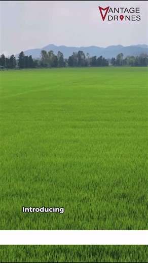 Scout smarter. Spend less. Grow more. Meet the Mavic 3M The DJI Mavic 3M spots crop stress, nutrient issues, and drainage problems before they become expensive. Create variable-rate maps, plan smarter, and monitor everything that keeps your operation moving. Precision farming starts here. Contact Vantage Drones to learn more about what the Mavic 3M can do for you. . . . #smartfarming #agrifuture #drone #farming #futureoffarming #farmingtechnology #agtech #agdrone | Vantage Drones