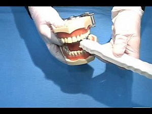 Video 2: Mouth rests