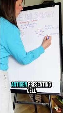 Humoral Response Explained (B Cells & Antibodies)