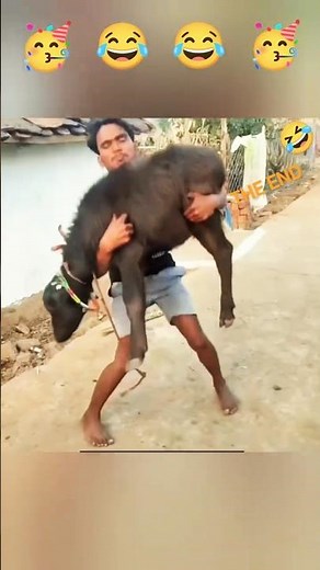 Fail compilation 😂😂😂 #shorts #shortsfeed #funnyfails #epicfails #memes #failcompilation