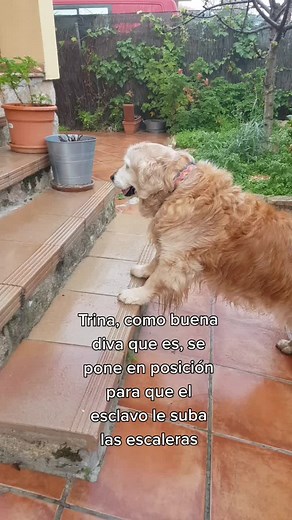 Cuentas recomendadas