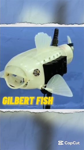 Robotic Gilbert Fish | Robot Fish