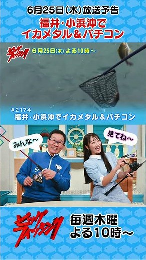 【6/25㊍22:00～OA予告】「福井・小浜沖でイカメタル＆バチコン」お見逃しなく！ #ビッグフィッシング