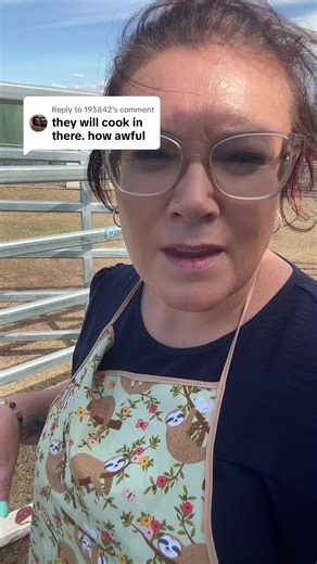 Exploring Unique Desserts: Mini Cheesecakes and More