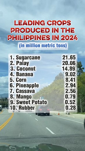 478K views · 763 reactions | Leading crops produce in the Philippines in 2024  #produce #sugarcane #coconut #rice #pineapple #sweetpotato #Philippines #fbreels2025ツ #everyoneシ゚ #viralpost2025シ #fypシ | James Tiglao Capulong | Facebook