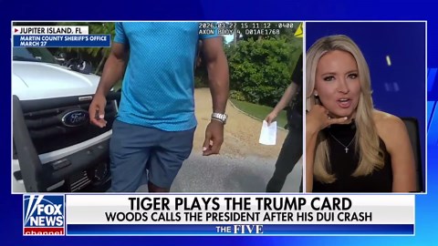 The Five: Tiger plays the Trump card