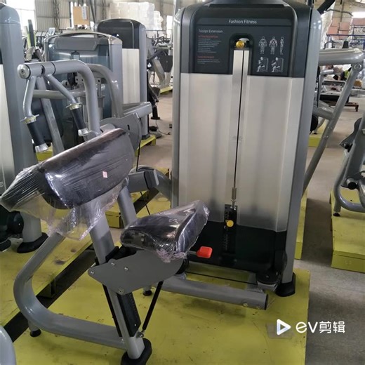 Fitness Bodybuilding Machines Weight Selectorized Pin Loaded Back Extension