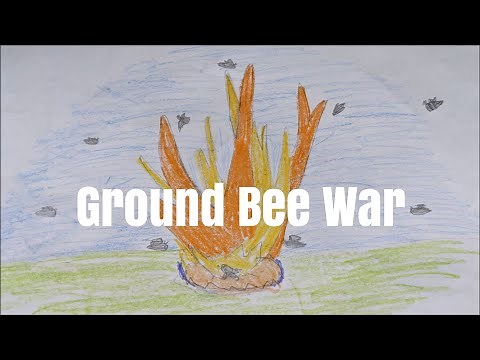 4 Methods to Kill Ground Bees (Yellow Jackets)