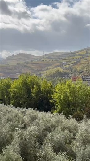 Michael Grandchamp on Reels