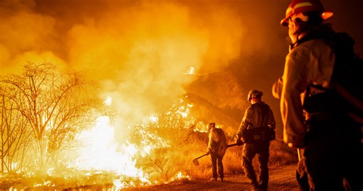 Trump's freeze stalls federal firefighter hiring