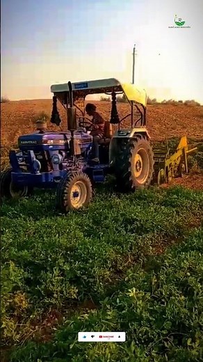 Groundnut Digger / Harvesting Machine / Pati ##harvesting #farming #farm #moongfali #agriculture