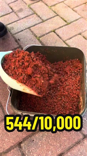 Carp Fishing Live Tomorrow: Road to 10k Followers