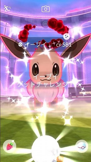 Shiny Eevveeee🦊✨ A Shiny Dynamax Eevee appears🤔#pokemongo #pokemongo #pokemongoshorts