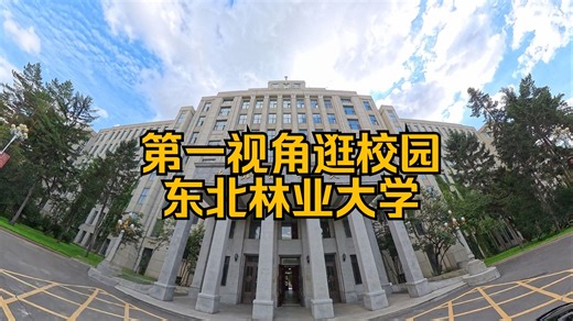 【8K】第一视角逛校园之东北林业大学