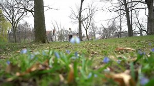 Learn the history of Bay View. Milwaukee's "part of the city, apart from the city." Thanks to Educators Credit Union, our listeners and members for supporting MILWAUKEE with John Gurda. | Radio Milwaukee