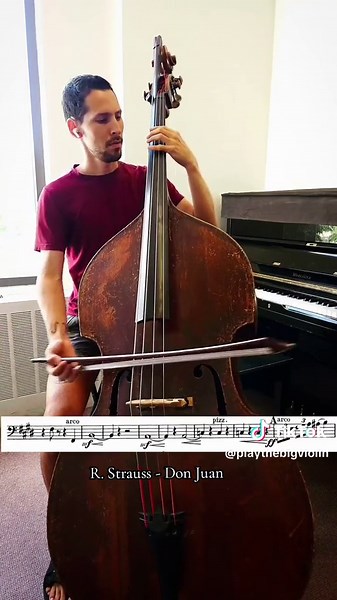R. Strauss - Don Juan: Orchestra Excerpts for Bassists