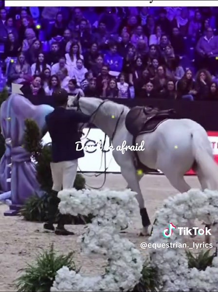 12:05 || #horse #equestrianlyrics #4u #lyricsedit #edit #fyp #horses