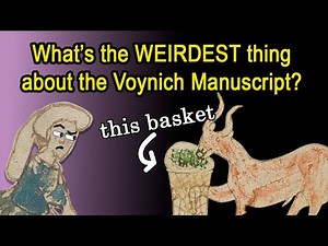 Answering your Voynich Manuscript Questions (Ep. 1 *fixed*)