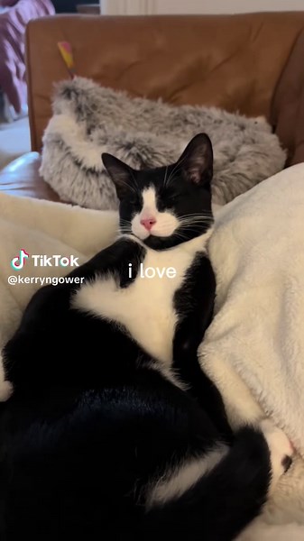 #findeaño baby boy #bart #babybart #catsoftiktok #cat #kitty #baby #CapCut #