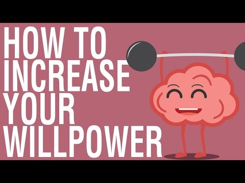 HOW TO INCREASE WILLPOWER - THE WILLPOWER INSTINCT BY KELLY MCGONIGAL
