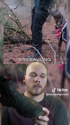 Redback Boots Review: The Ultimate Versatile Footwear