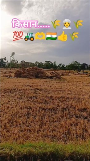 किसान की खेती.......‪@Crazyhari143‬ .....…🌾🌾🌾🫶🫶🚜🚜💯💯💯💯⁉️#sorts #ytshorts #youtubevideo #youtube