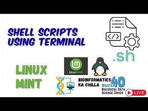 Create a Shell Script Using Terminal + wget Command in Linux Mint | Automate File Downloads