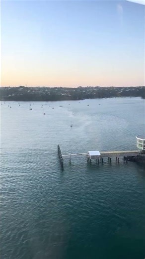 “Auckland City from a Bus Ride 🚍✨ Stunning Ocean, Bridge & Boat View | New Zealand Travel Vibes”