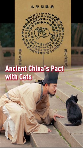 The World of Chinese | Nowadays, Chinese cat owners humorously express their devotion with self-deprecating titles like “cat slave (猫奴),” and the even more humble... | Instagram