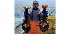 NEFSA DEFEATS MENACE TO ICONIC MAINE LOBSTER
