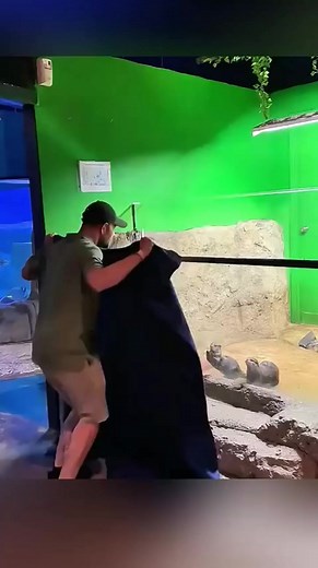 Romano Romanowski on Reels