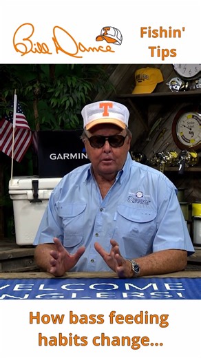 466K views · 8.1K reactions | As a bass grows larger in size, it becomes more selective with feeding habits and the size of the feed it forages on. Today let’s learn about how bass feeding habits can change as they grow in size. Happy fishin’ y’all! -Bill #fishingtips | Bill Dance | Facebook