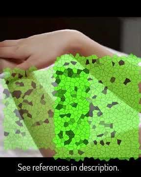 What is Arnica? Plant and Historical Uses