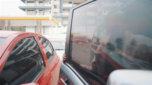 Petstore Kenya: Your One-Stop Shop for Pet Products