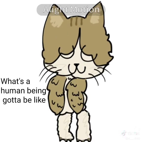 Creative Animation Meme Ideas to Inspire Your Next Edit