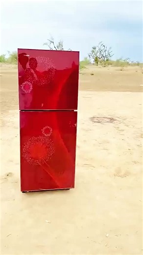 Funny Viral Challenge Video