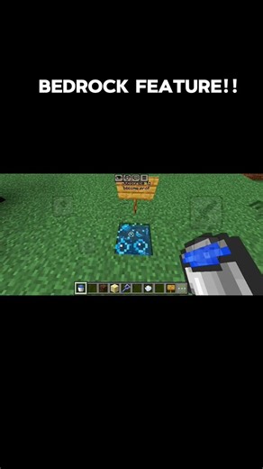 AMAZING FEATURE in minecraft bedrock edition.