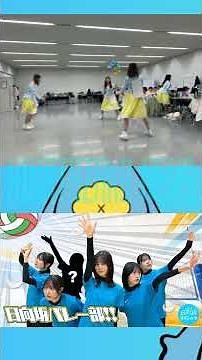 日向坂ファンの異常性？ミーグリ全完売を生み出す最強の武器【HINATAZAKA NEWS】