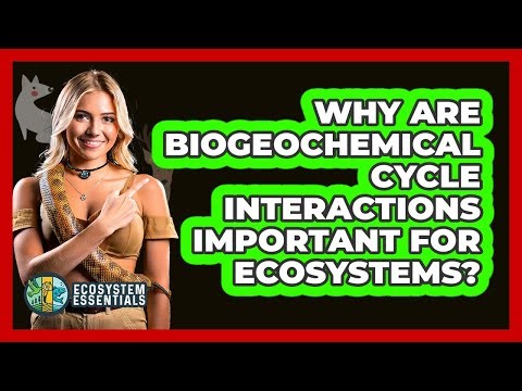 Why Are Biogeochemical Cycle Interactions Important For Ecosystems? - Ecosystem Essentials