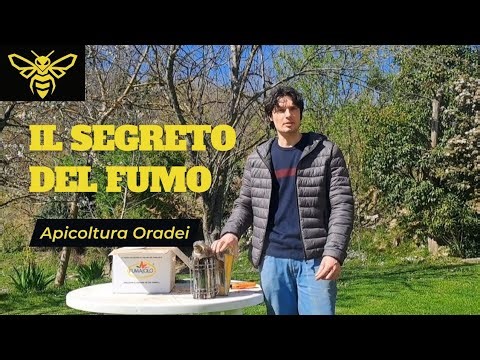 AFFUMICATORE PER API: COME ACCENDERLO E USARLO NEL MODO GIUSTO!