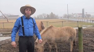 1.3M views · 2.7K shares | Amish Mafia Prank | Ed Bassmaster | Facebook