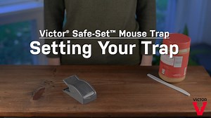 Designed with safety as a top priority, the Victor Safe-Set Mouse Trap is ideal for homes with children and pets. Shop now: https://bit.ly/3iR33Jm | Victor Pest | Facebook