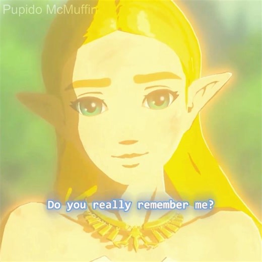 Zelda’s Heartfelt Message - Amber Skies #zelda #zeldabotw #thelegendofzelda #nintendo #shorts