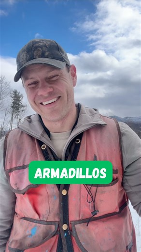 Ethan Tapper on Instagram: "The nine-banded armadillo is one of the weirdest little critters in the world! The nine-banded armadillo is one of 21 species of armadillos that live in North and South America (that range in size from the “pink fairy armadillo” which is 3-6 inches long and weights 4 oz, to the giant armadillo, which can weigh more than 100 lbs), and it is the only species found in the United States. Here’s 5 mind-blowing facts about them: 1. Nine-banded armadillos (I’ll just call the