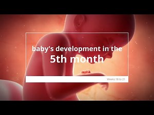 Baby's Development in Month 5 of #Pregnancy | Fetal Growth & Development | 5 Months #Pregnant