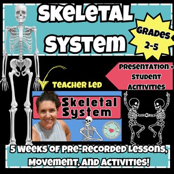 The Amazing Skeletal System: 5-Week Interactive Course for Elementary Kids