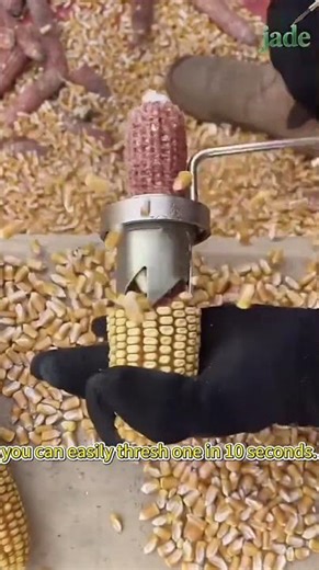 corn threshing #automobile #wheelsaw #satisfying