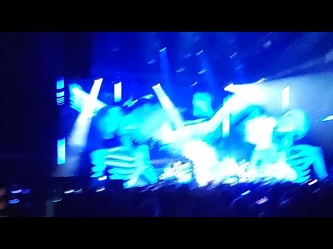 the off spring concert live