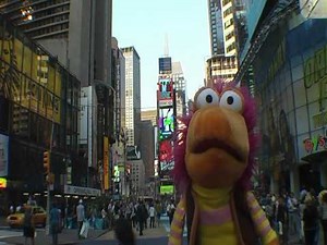 Muppets in New York